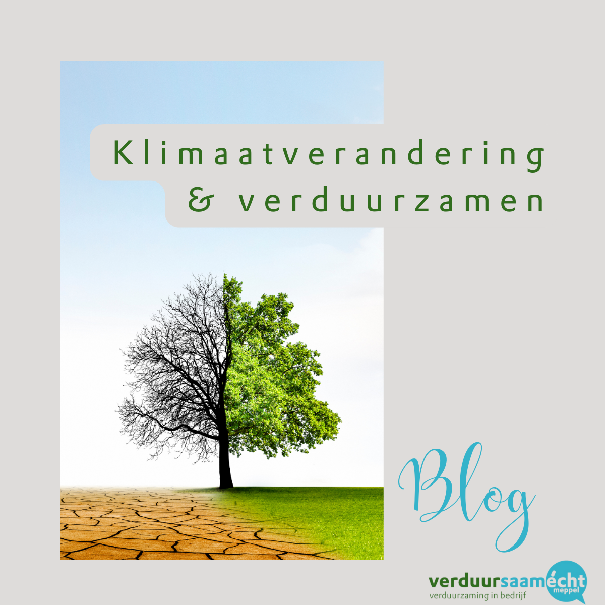 VEM blogt - Klimaatverandering is een van de grootste uitdagingen van onze tijd. Hoe ga je dan verduurzamen? VerduurSaam Écht Meppel adviseert en begeleid je in dit proces.